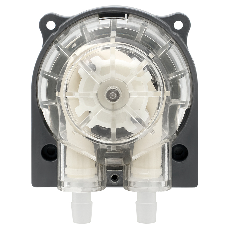 DC Motor Peristaltic Pump LFP303/DB (Flow range: 30-300ml/min)