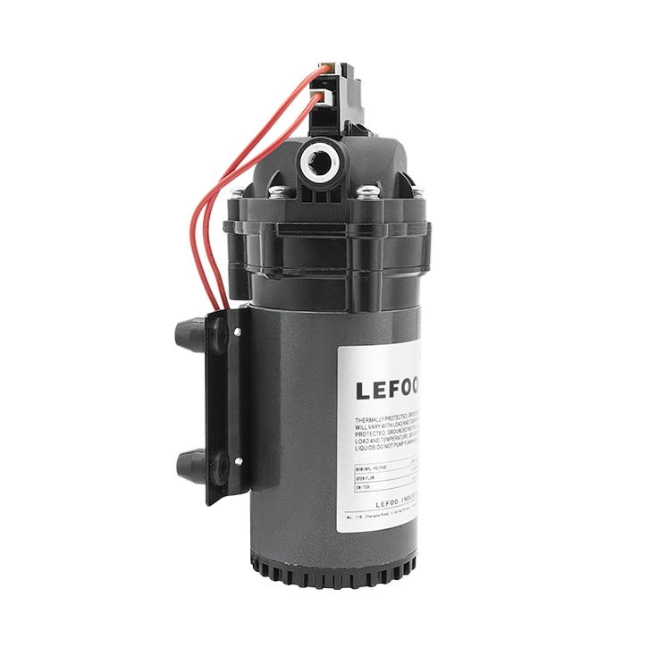 230VAC Demand Delivery Pump