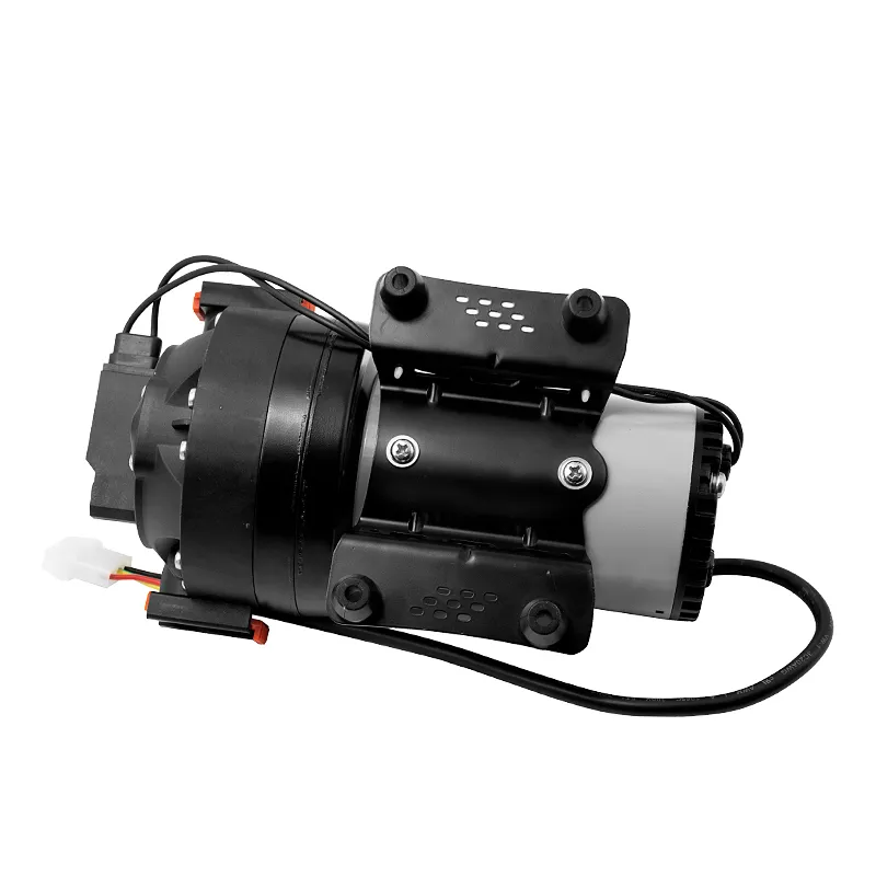 High Flow Demand Delivery Pump